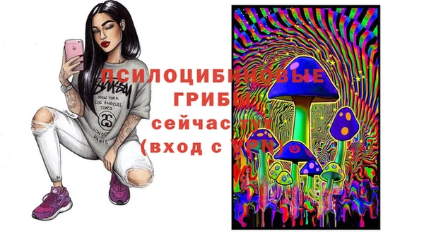 стаф Алзамай