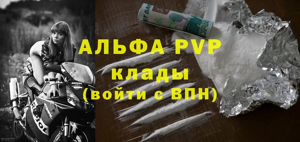 стаф Алзамай