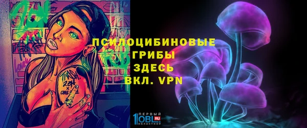 прущие крисы Алексеевка