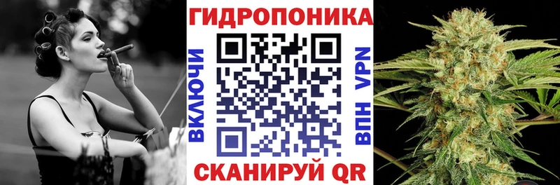 Шишки марихуана SATIVA & INDICA  Вышний Волочёк 